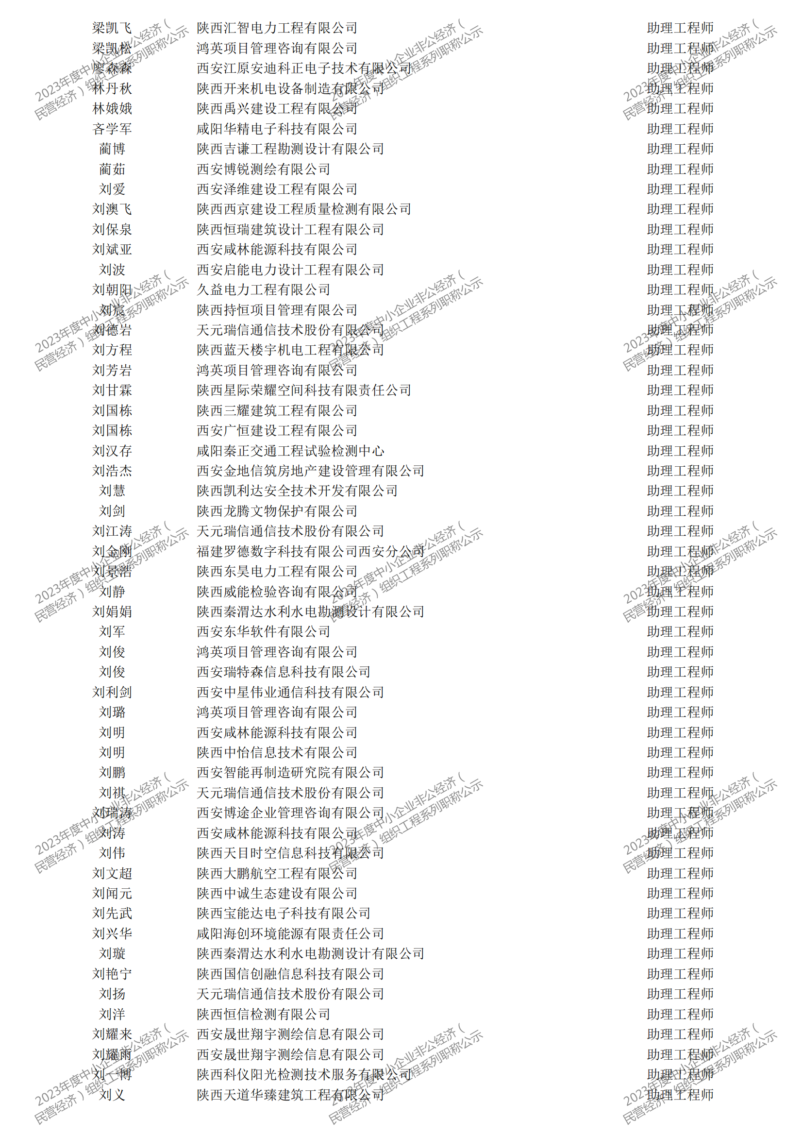 2023年度中小企業(yè)非公經(jīng)濟(jì)（民營(yíng)經(jīng)濟(jì)）組織工程系列職稱評(píng)審公示_26.png