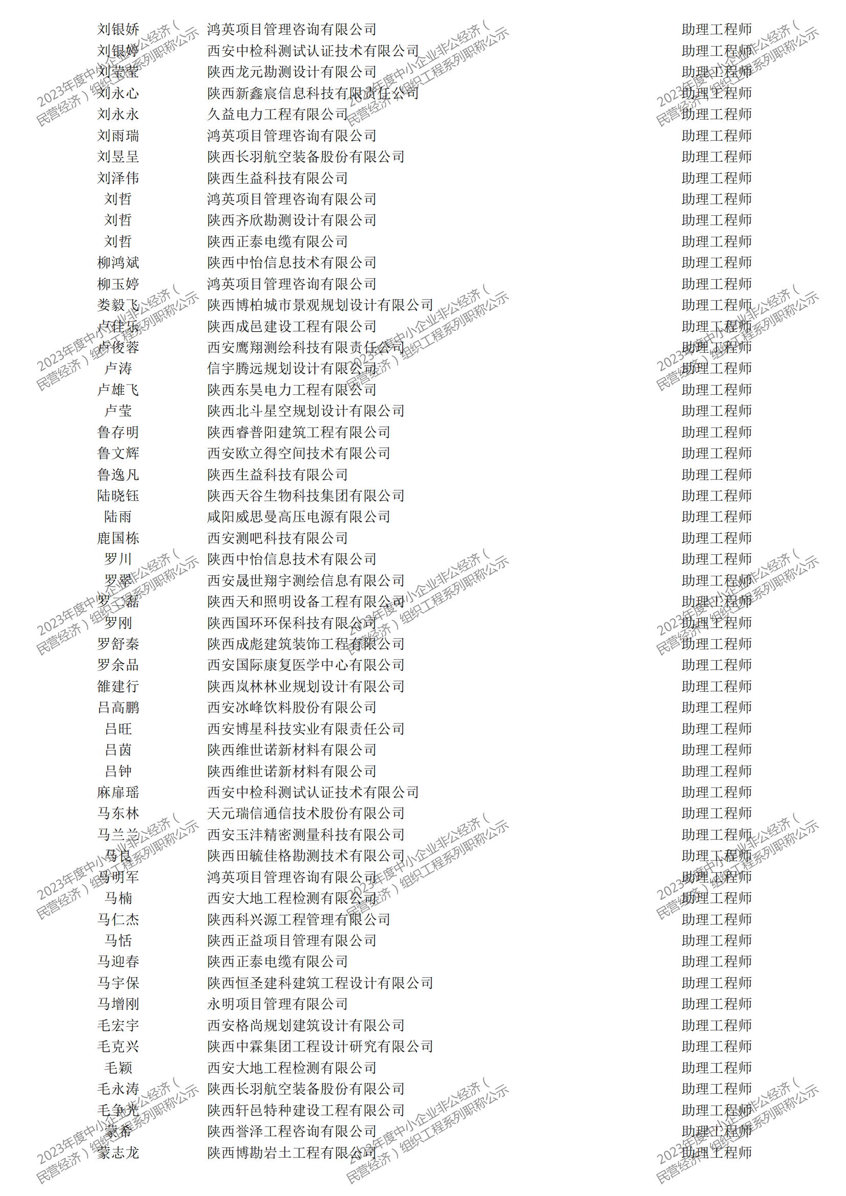 2023年度中小企業(yè)非公經(jīng)濟(jì)（民營(yíng)經(jīng)濟(jì)）組織工程系列職稱評(píng)審公示_27.png
